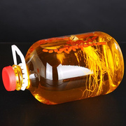 手提泡酒玻璃瓶泡杨梅酒罐专用5斤10斤青梅酒罐子自酿酒瓶泡酒罐