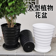 2021发财树花盆盆塑料仿陶瓷盆栽盆景无孔水培大植物高阳台