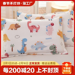 100纯棉儿童枕套枕头套装全棉，一对40x60小宝宝，婴儿30x50家用恐龙