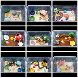 寄居蟹新手套餐饲养箱盒~饲养箱用品，箱塑料套装宠物儿童礼物送蟹
