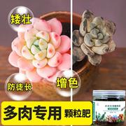 供应多肉复合颗粒肥料，增色园艺缓释肥种花园艺360g