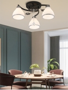 餐厅吸顶灯现代简约家用卧室，饭厅吊灯小户型轻奢水晶灯具创意北欧
