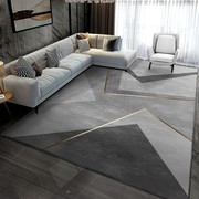 北欧客厅地毯现代简约茶几毯轻奢高端家用卧室整铺沙Y发地垫大面