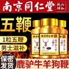 南京同仁堂鹿茸血人参五鞭片膏丸配黄精男性用滋补