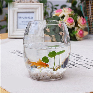 室内绿萝水培花盆玻璃花瓶，透明大号水养，植物花卉器皿摆件创意插花