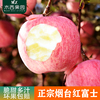正宗烟台红富士苹果新鲜脆甜山东栖霞应季当季水果35斤10斤