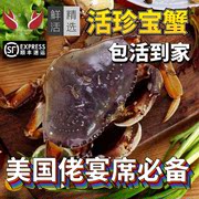 珍宝蟹鲜活速冻太子蟹面包蟹螃蟹特大海鲜鲜活冷冻水产肉蟹海蟹