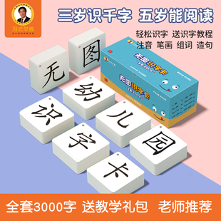 冯式早教儿童识字卡，3000字幼儿园宝宝无图识汉字，生字卡片认字神器