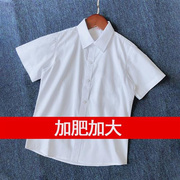 男童白衬衫短袖夏季薄款中小学生校服黑边条演出礼服纯棉白色衬衣
