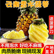 云南河口香水小菠萝5斤8斤新鲜应季孕妇水果脆甜新鲜整箱