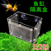 虎鱼金波子白点隔离盒鱼缸透明水族小鱼苗孵化器繁殖箱产盒饲养盒