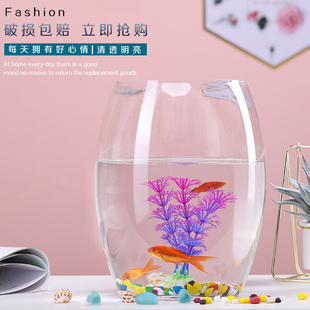 创意水族箱生态圆形玻璃金鱼缸(金鱼缸)大号乌龟，缸迷你小型造景水培花瓶