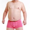 为熊设计(熊设计)性感粉红色条纹，加肥大码胖子熊爪平角四角大裤衩内裤