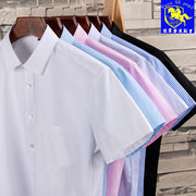 保罗高端工装纯色短袖衬衫男士，夏季薄款职业商务休闲寸条纹，白衬衣(白衬衣)