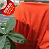 柔8软黄色布f料橘色桔红色橙红弹力针织打底衫内衣裙子服装面料