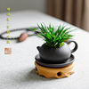 创意紫砂西施壶菖蒲盆景新中式茶台桌绿植好养办公室盆栽四季常青