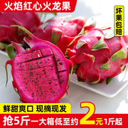 正宗云南高山火焰品种，红心火龙果3-5斤海南金都一号新鲜水果红肉
