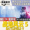 steam正版国区KEY 战地5 战地风云5 Battlefield V激活码秒发