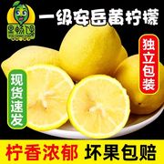 果畅馋安岳黄柠檬(黄柠檬，)2斤小果当季新鲜水果一级皮薄中大果青柠檬