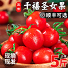 千禧果小番茄5斤圣女果新鲜现摘西红柿水果自然，熟樱桃超甜蔬菜籽