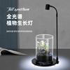 led苔藓植物灯压克力鱼缸，射灯usb微景观生态瓶，y灯造景水草灯