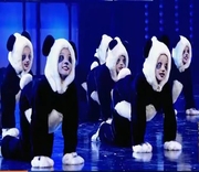 大熊猫套装演出服男女儿童，功夫熊猫宝宝卡通，动物人偶造型表演服装