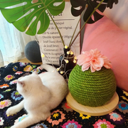 绿色仙人球小型猫爬架清新太阳花猫抓板麻猫抓柱向日葵猫咪玩具