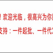 钢螺杆潜水泵深井泵2o20V单相井用家用高N扬程抽水泵农田灌溉机