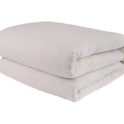 棉被棉絮床垫冬被垫被盖被冬季加厚保暖被芯垫絮被子单人宿舍褥z.