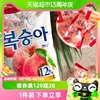 韩国进口乐天水蜜桃味硬糖153g网红糖果韩剧流行青葡萄糖同款