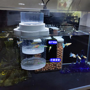 孔雀鱼繁殖盒鱼缸隔离盒，凤尾玛丽幼鱼母鱼产房，小鱼苗漂浮孵化神器