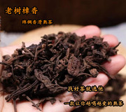 02年勐海樟香老树茶大叶茶，熟茶云南普洱茶散茶500克滋味香醇