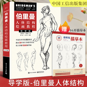 伯里曼人体结构教学2022中国工信出版集团艺用人体，解剖动态解剖入门画册临摹人体结构，原理和绘画教学造型手绘技法国美人物速写书籍