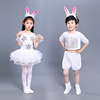 元旦小兔子演出服儿童动物表演服装小白兔子幼儿园蓬蓬裙猫咪舞蹈