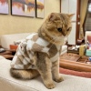 猫咪冬天马甲外套冬季保暖布偶美短金渐层宠物猫猫衣服秋装防掉毛