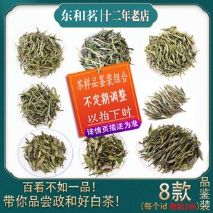 政和白茶样品试喝小样，茶白牡丹白毫银针寿眉，贡眉福建茶叶品鉴装