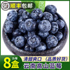 云南蓝莓新鲜水果，中果大果125g盒，高山甜莓当季整箱