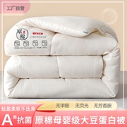 冬天儿童棉被加厚单双人(单双人)大豆，被芯保暖1.5米10斤丝棉被子芯冬被褥