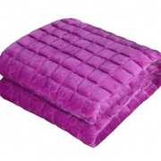 法莱绒床垫加厚防滑席梦思保护垫1.5/1.8m可水洗薄床褥子榻榻米垫