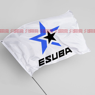 反恐精英Counter-Strike电子竞技汽巴俱乐部球队战队队旗eSuba