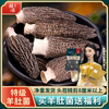 羊肚菌干货野生500g云南特产新鲜菌菇煲汤食材特级菌子