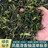 潮州凤凰单丛茶2023新茶抽湿鸭屎香单枞茶清香型乌岽单从乌龙茶叶