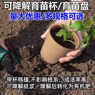 纸浆育苗杯一次性可降解育苗盘培育盆纸质营养钵育种盘种植杯批发