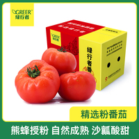 绿行者红又红畅享果5斤新鲜西红柿