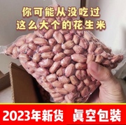 2023年花生米生新特大超大山东鲁花大颗粒5斤真空散装新鲜