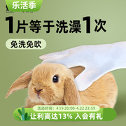 宠物兔子免洗手套一次性手套松鼠豚鼠龙猫貂猫狗洗澡清洁控臭用品