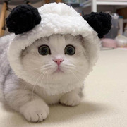 可爱熊猫毛绒宠物帽子，猫咪头套狗狗头饰泰迪比，熊猫帽宠物用品