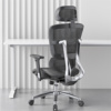 ergoup有谱电脑椅flya200人体工学椅子办公室座椅家用舒适久坐