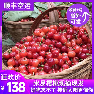 现摘四川小樱桃新鲜水果孕妇，特产农家土樱桃酸甜恩特3斤