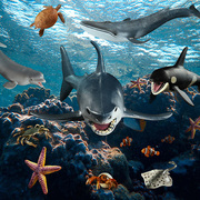 海洋动物玩具仿真动物模型海底世界生物鲨鱼白鲸章鱼海豚寄居蟹